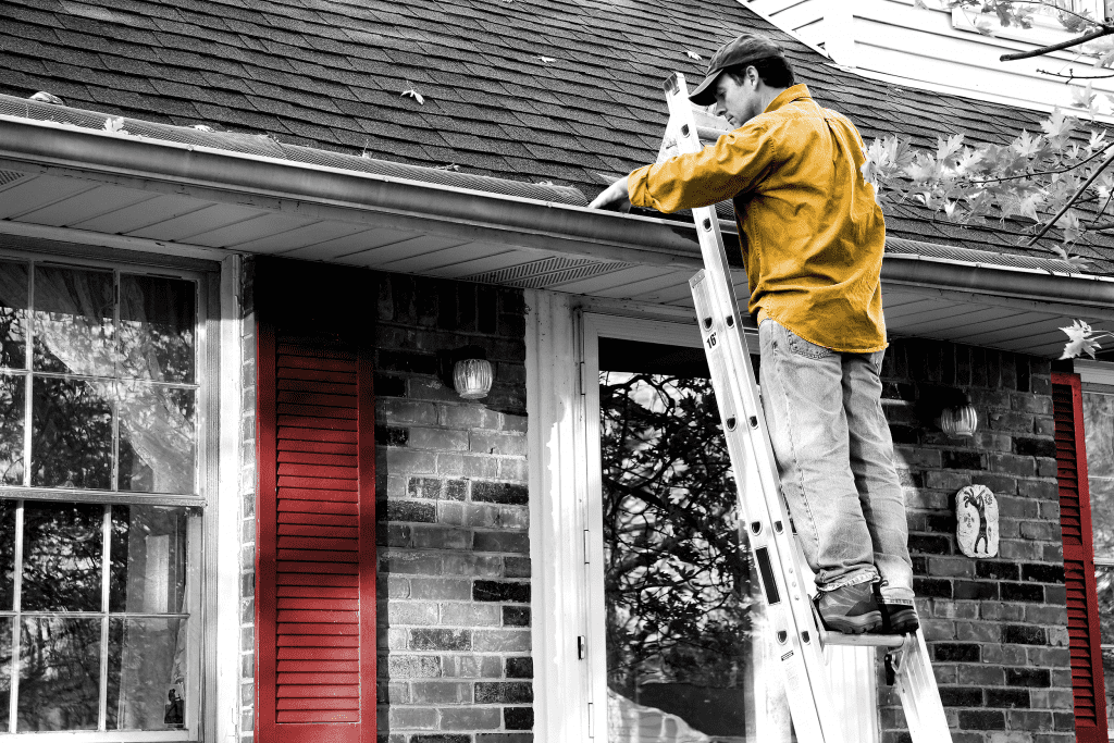 Building Maintenance